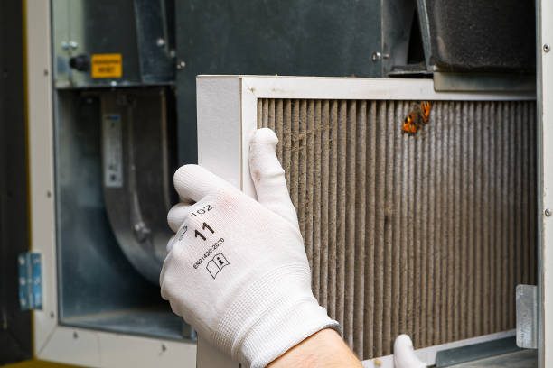Best Air Quality Test  in Manistique, MI