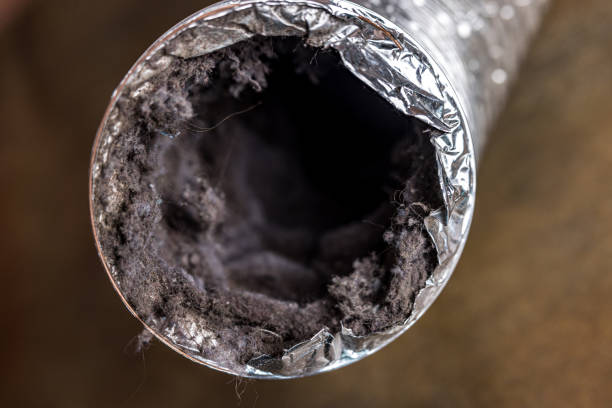 Best Best Air Duct Cleaning Company  in Manistique, MI