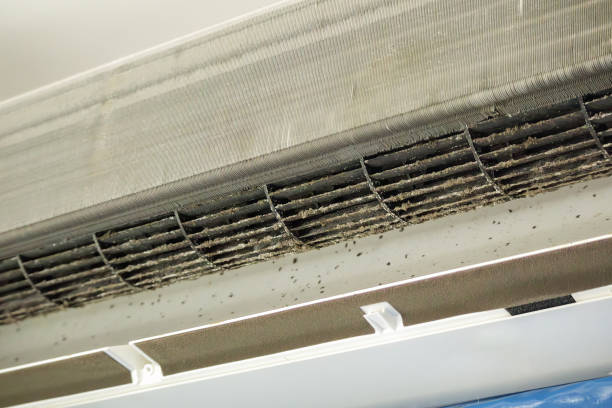 Trusted Manistique, MI Airduct Cleaning Experts