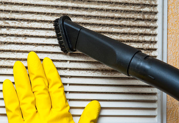 Best HVAC Air Duct Cleaning  in Manistique, MI